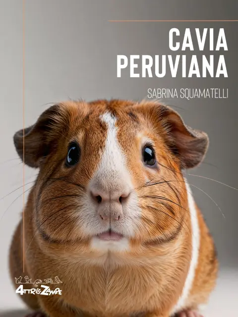 Copertina La Cavia Peruviana