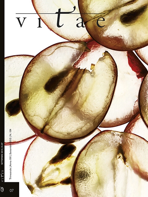 Cover Vitae 07