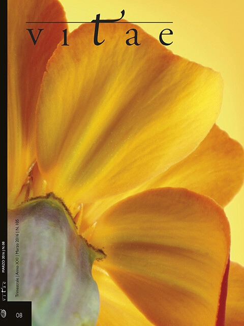 Cover Vitae 08