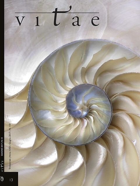 Cover Vitae 13