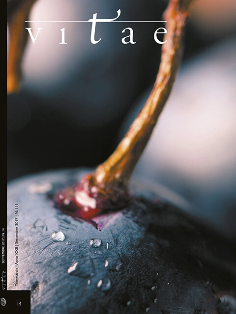 Copertina Vitae 14