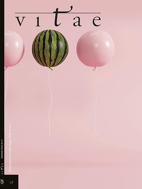 Cover Vitae 17