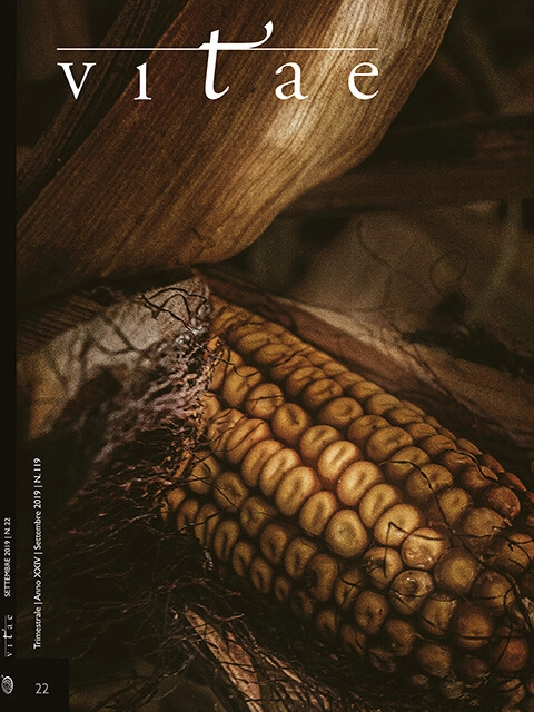 Cover Vitae 22