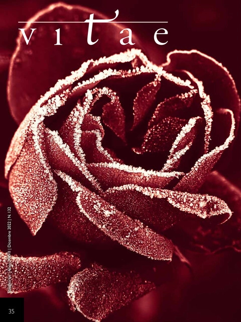 Copertina Vitae 35