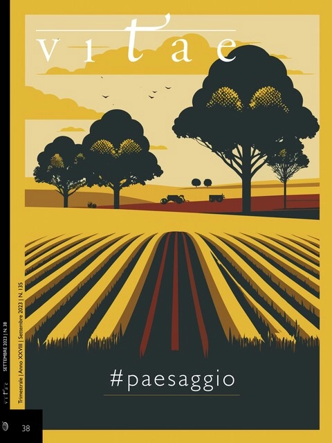 Cover Vitae 38