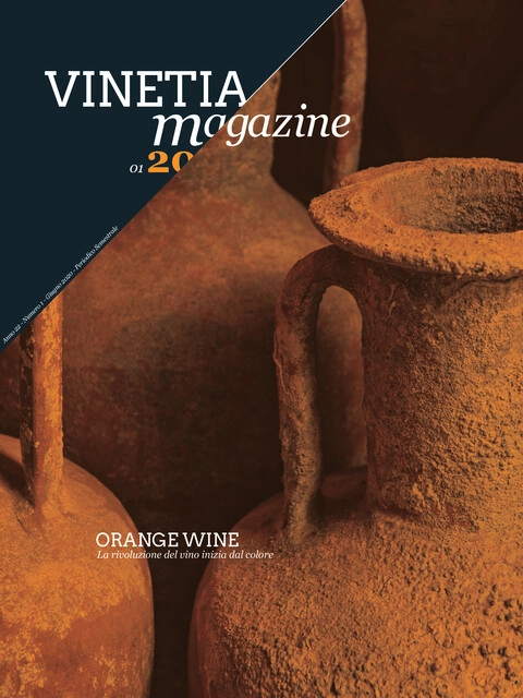 Cover of Vinetia - Numero 1 -2020
