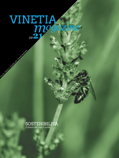 Copertina Vinetia - Numero 2 -2021