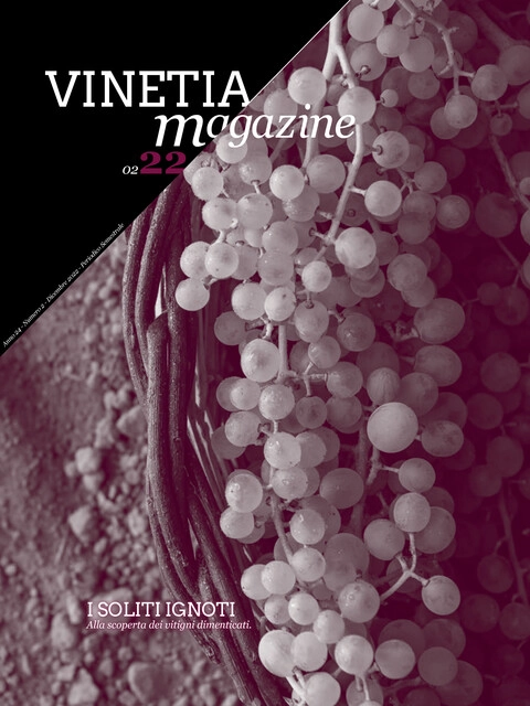 Cover of Vinetia - Numero 2 -2022