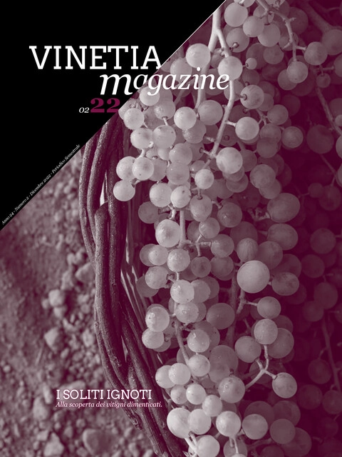 Copertina Vinetia - Numero 2 -2022