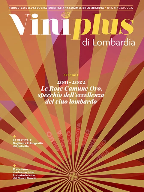 Copertina Viniplus - Numero 22