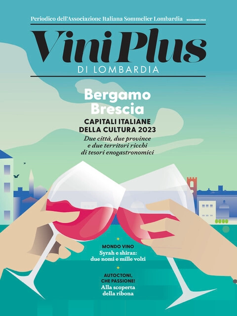 Copertina Viniplus - Numero 25