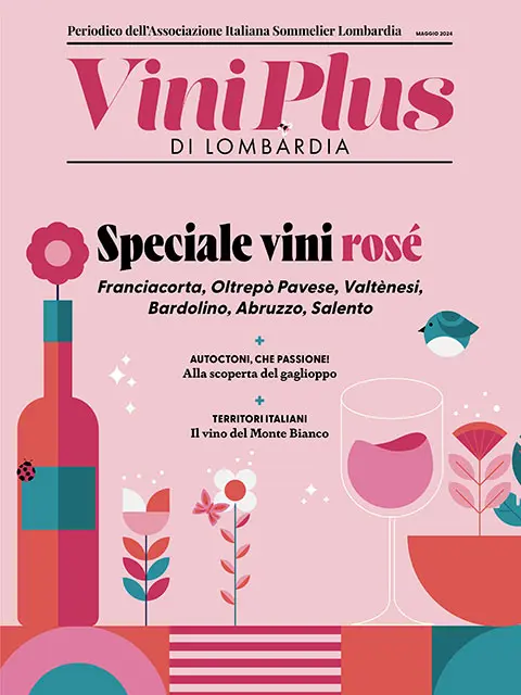 Cover of Viniplus - Numero 26