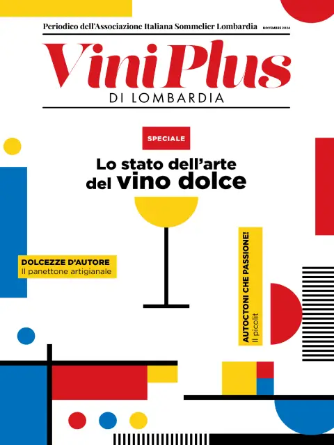 Cover of Viniplus - Numero 27