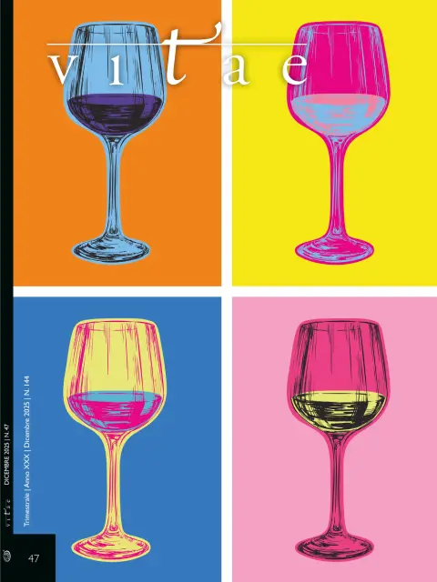 Copertina Vitae 47