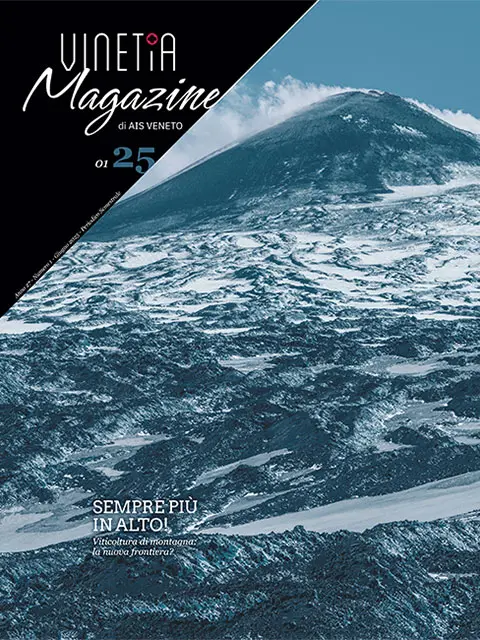 Cover of Vinetia - Numero 1 - 2025