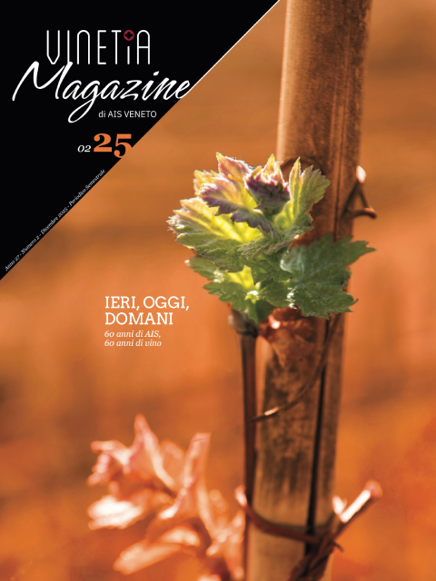 Copertina Vinetia - Numero 2 - 2025