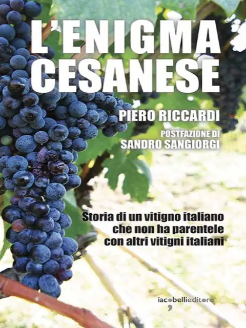Copertina L’enigma cesanese