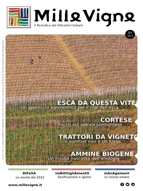 Cover MilleVigne