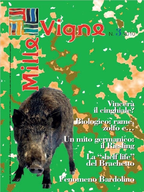 Cover MilleVigne