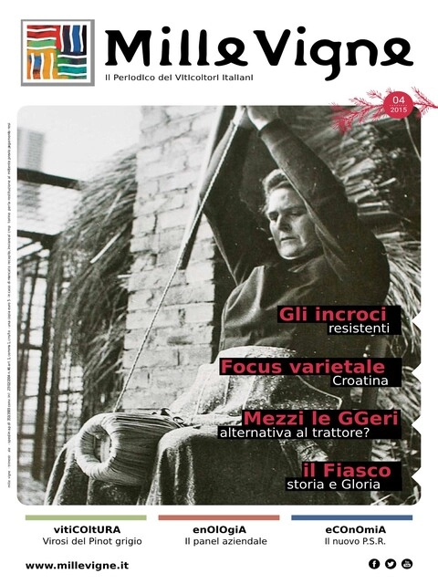 Copertina MilleVigne