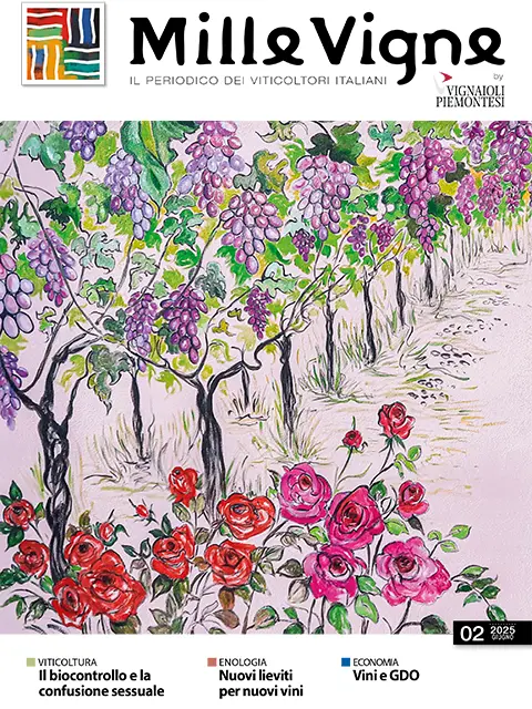 Cover of MilleVigne