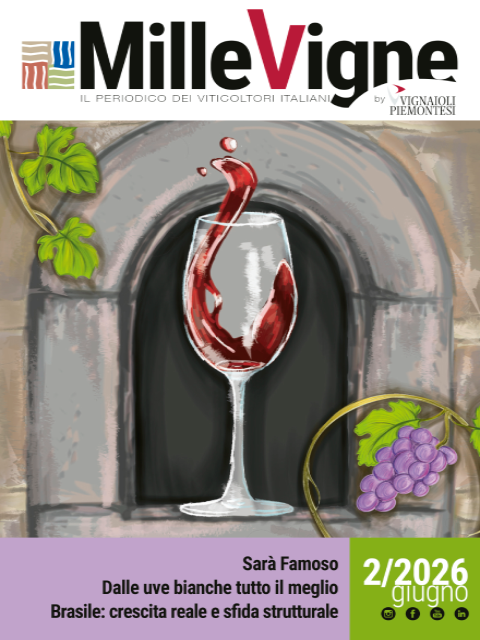 Cover of MilleVigne
