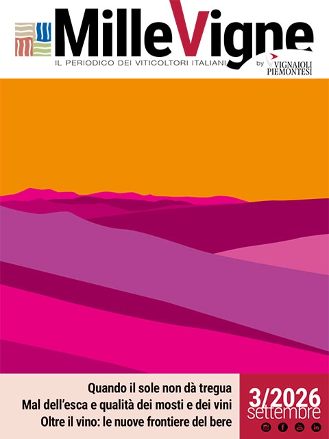 Copertina Millevigne
